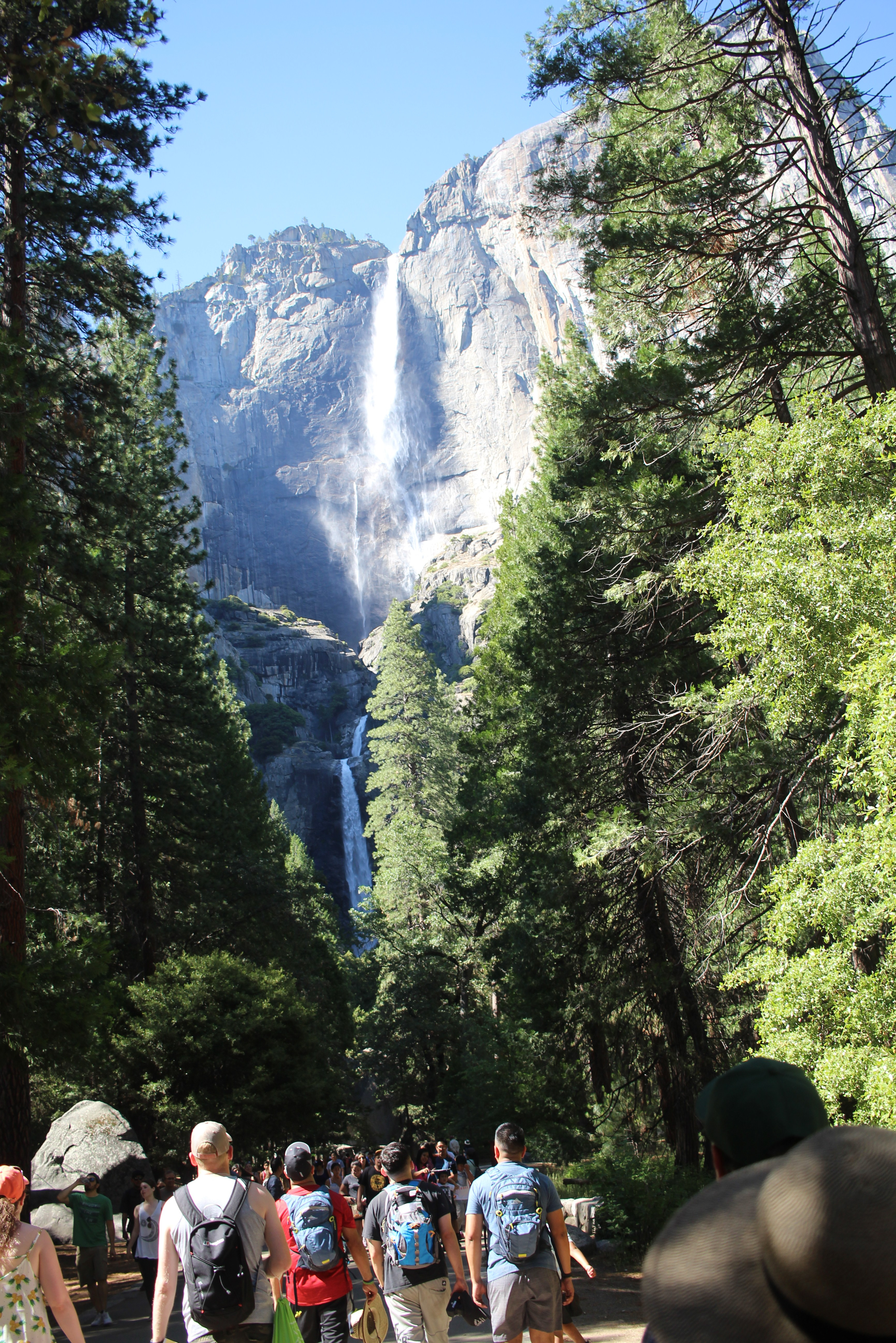 Topics Going To Be Covered in Hospitality, Travel, and Tourism